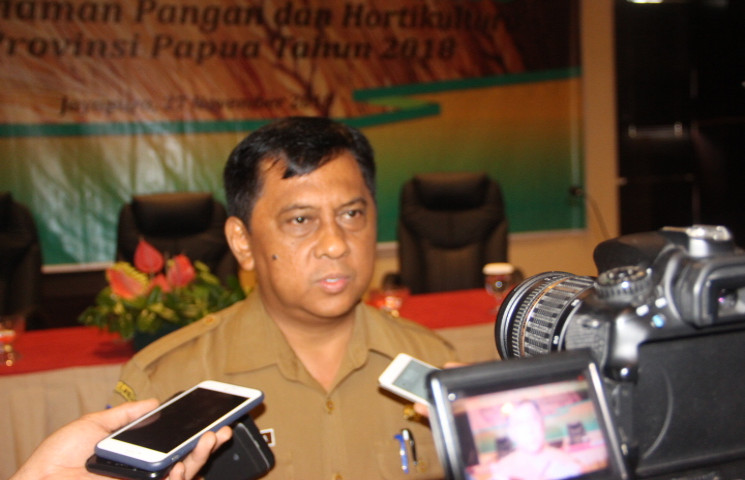 Papua Swasembada Beras Jika Didukung Infrastruktur Irigasi 